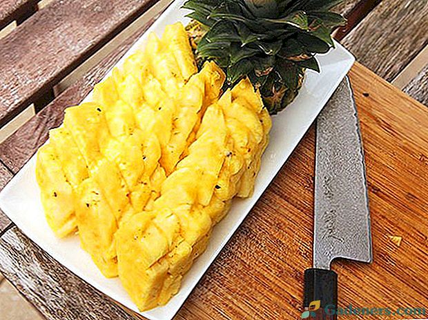 Gatavs tikai mērenam gatavo saldo ananāsu patēriņam
