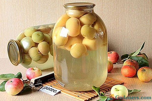 Універсальні рецепти компотів з яблук на зиму