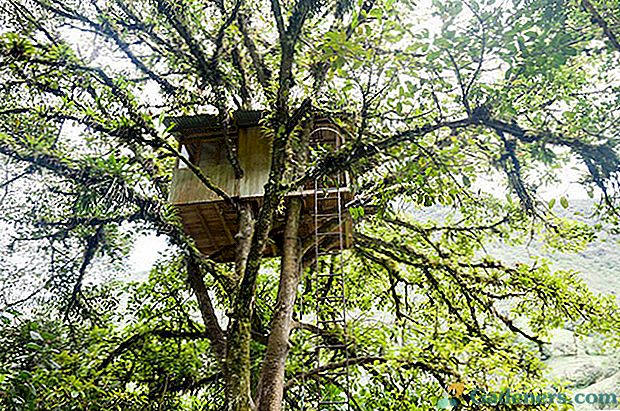 Útulný kout posezení - dům stromu