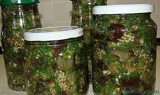 Valgių paruošimas konservuotų baklažanų, pavyzdžiui, grybų