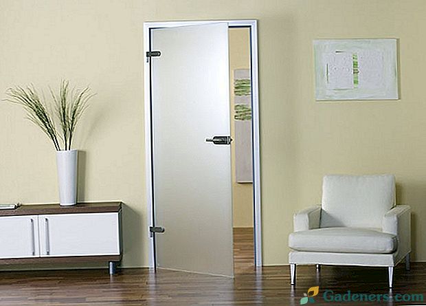 Výběr vnitřních skleněných dveří pro váš dům