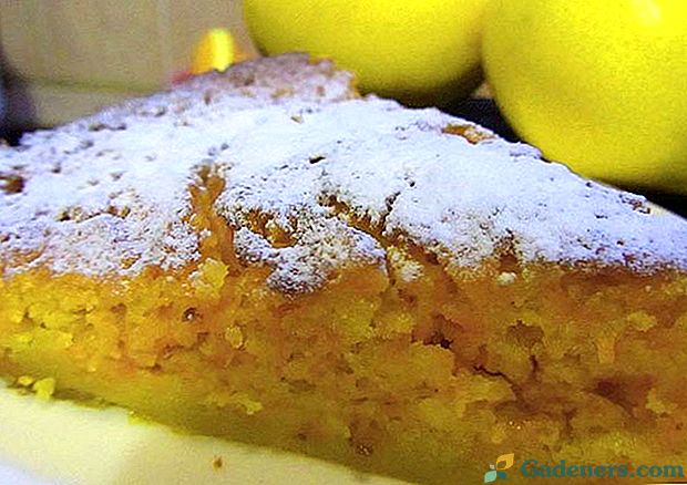 Izaberite recept i ispeći kolač od lemongrass za stol za odmor