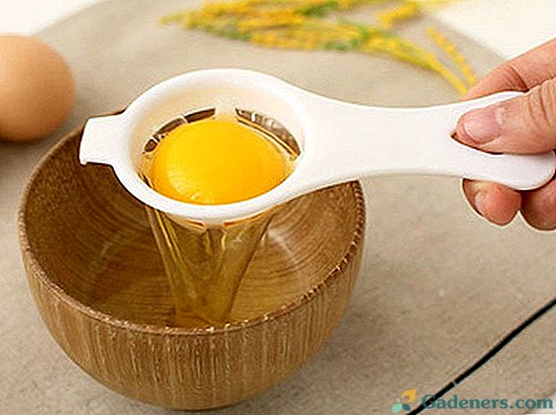 Избор сепаратора за јаја из Кине