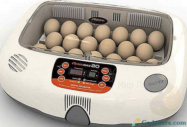 Izbira avtomatskih inkubatorjev jajc