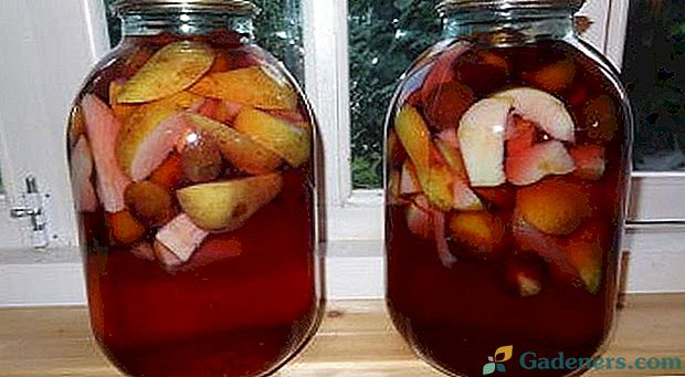 Вітаміни в банку: компот з яблук і груш на зиму