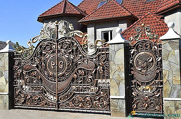 Vizitka podeželske hiše - vrata iz kovanega železa