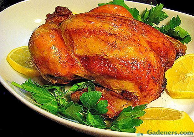 Lahodné a rychlé recepty na vaření kuřete s medem a hořčicí v troubě