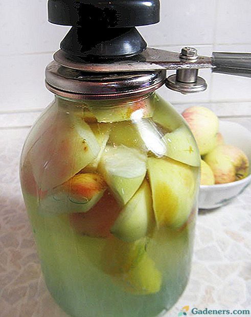 Okusen in zdrav kompot jabolk in pomaranč za zimo