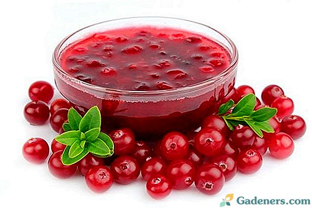 Pripreme za zimu od lingonberrya u vlastitom soku