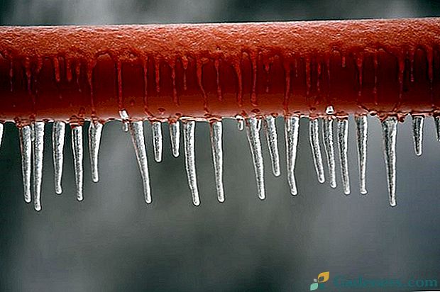 Zamrznjene cevi: kako odtaliti in zaščititi komunikacije pred zamrzovanjem