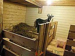 Козівництво: зимове утримання кіз