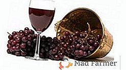 Kako vino iz grozdja: skrivnosti domačega vinarstva