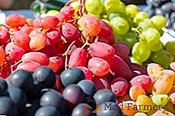 Dezenas populares de variedades de uvas Muscat