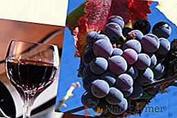 Vin et raisins Pinot Noir