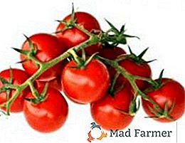 Ako pestovať cherry paradajky na otvorenom teréne
