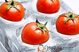 Comment congeler les tomates pour l'hiver au congélateur et que faire avec elles