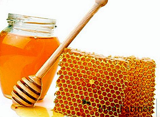 L'esportazione di miele ucraino è stata un record nel 2016
