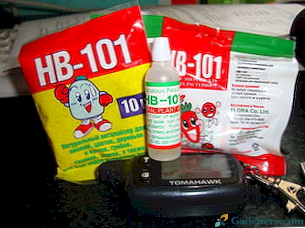 Zdravilo HB 101: navodila za uporabo in pregledi