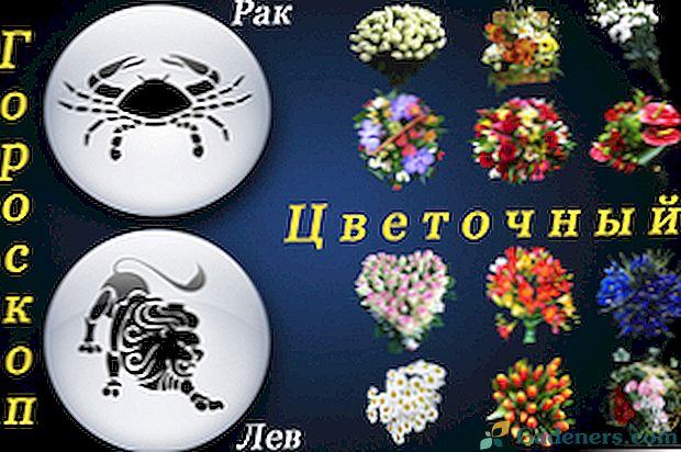 Cvetlični horoskop: cvet na znak zodiaka in datum rojstva