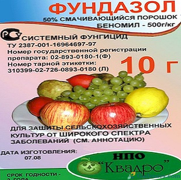 Фундазол срок ожидания после обработки. (Фундазол Беномил. Фундазол фунгицид 1кг. Фундазол для томатов. Фундазол дозировка.