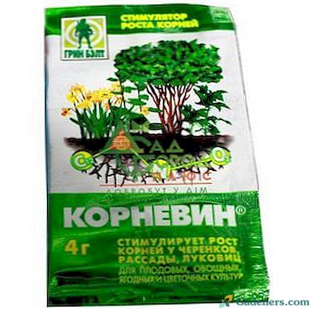 Pokyny na použitie rastlín biostimulantových koreňov pre rastliny
