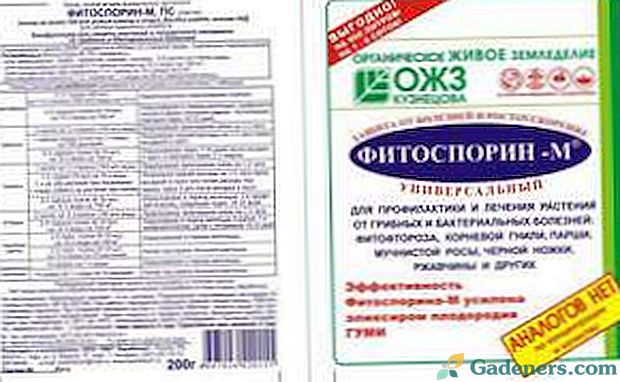 Наркотици Fitosporin M: прегледи, инструкции за употреба