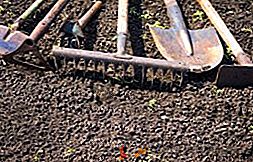 Types d'outils pour creuser la terre