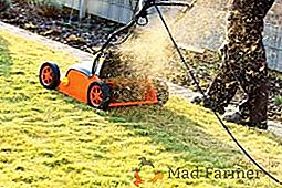 Características de mulching um gramado com um cortador de grama: dicas e truques