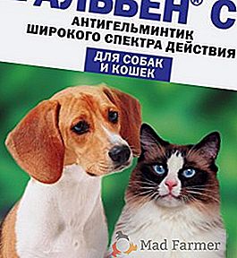 Alben: instrucțiuni pentru utilizare la animale