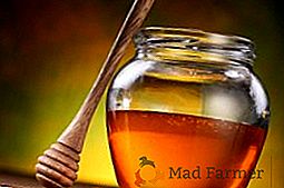 Кращі способи перевірки меду на натуральність