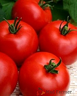 Tomates para a região de Moscou: descrições das melhores variedades