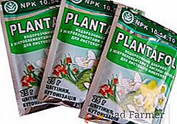 Upute, učinkovitosti i prednosti primjene gnojiva "Plantafol"