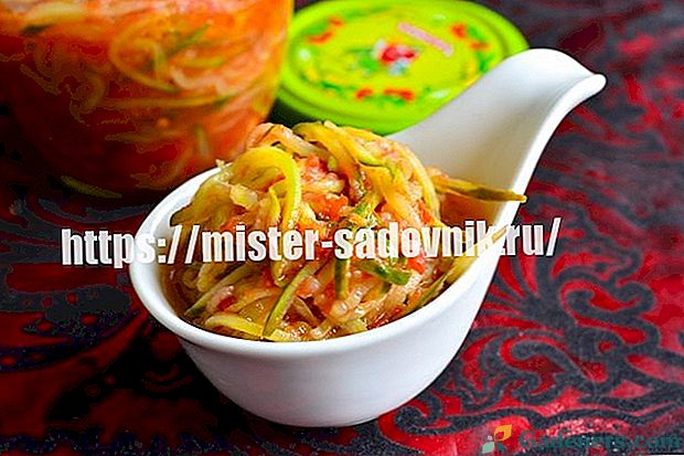 Homemade agurkų lecho - žingsnis po žingsnio receptas su nuotraukomis