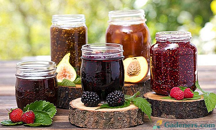 Domácí džem z ovoce a bobulí - vynikající recepty na zimu