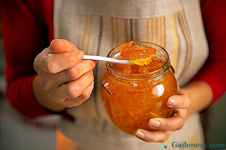 Ako variť squash jam na zimu - recepty prsty budete lízat