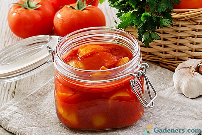 Jak připravit lecho na zimu - recepty s rajčaty, cuketou, pepřem, mrkví