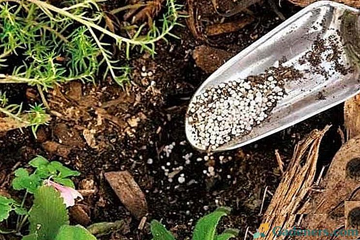 Как да се намали киселинността на почвата в градината - препоръки