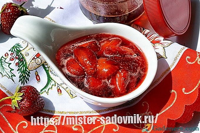 Ako variť jahodový džem na zimu - jednoduchý recept s fotografiami