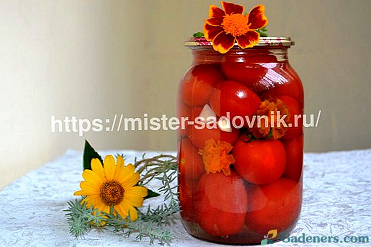 Marinēti tomāti ar marigolds - garšīgs sagatavošanās ziemai
