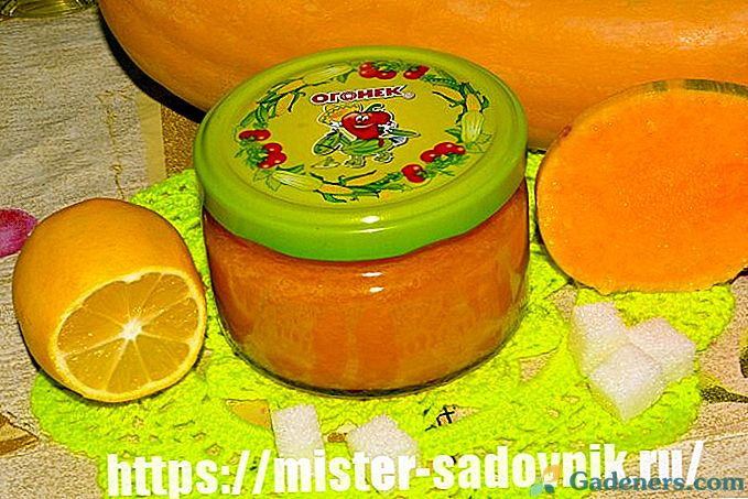 Dýňový džem s citrónom - krok za krokom recept s fotografiami