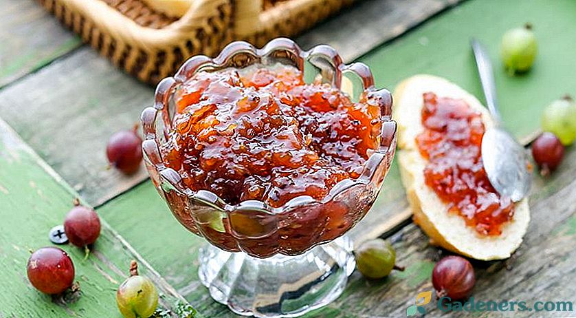 Džem od jabučice za zimu - dobri recepti za svaki ukus