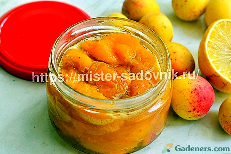 Chutné meruňkové džem s citrónom - recept s fotografiou