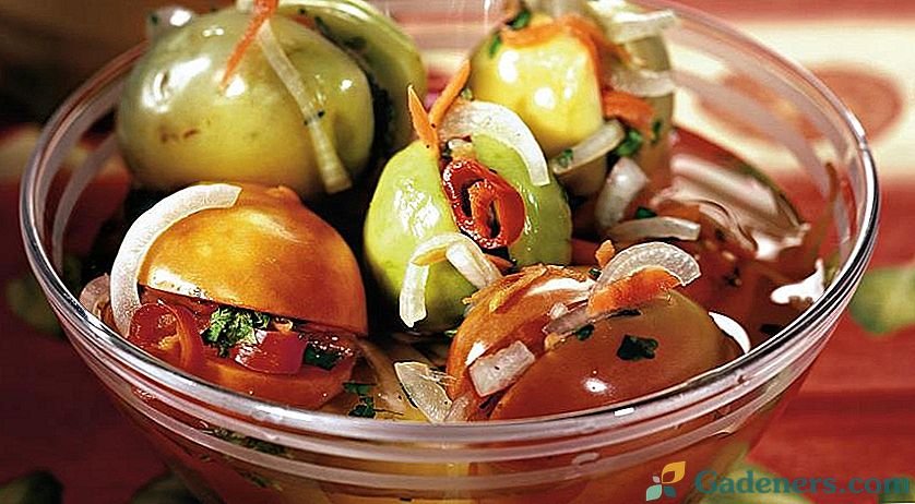Przygotowania do zimy zielonych pomidorów - najlepsze przepisy na każdy gust