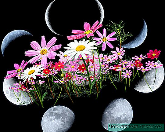 🌷 Лунный календарь цветовода на март 2020 года