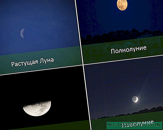 Calendario lunare per piante d'appartamento per il 2020