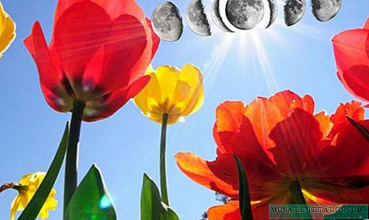 🌹 Calendario de luna de flores para abril de 2020