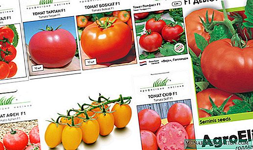 Dutch selection tomatoes: a catalog of 36 varieties and photos and descriptions