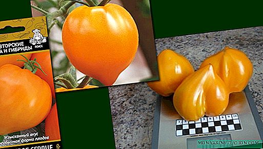 5 large hybrid and copyright varieties of tomatoes for your garden