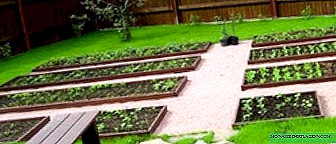 Rozpočet záhradné záhrady: 6 spôsobov, ako ušetriť