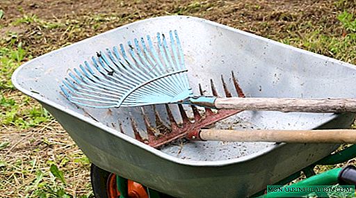 How to choose a rake: 7 types, 5 models and tips